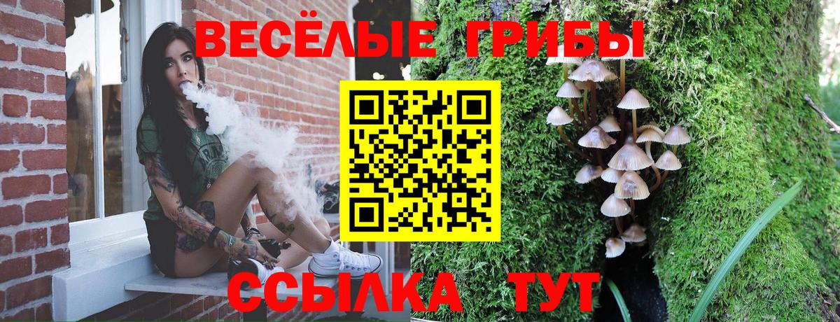 Галлюциногенные грибы Psilocybine cubensis Муром
