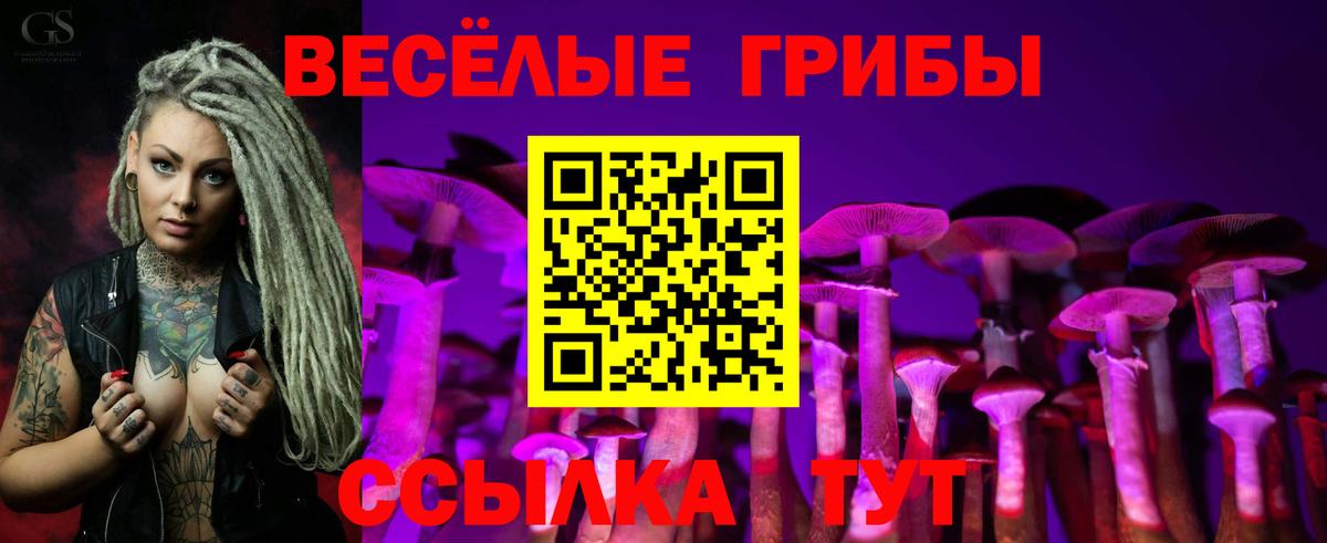 Псилоцибиновые грибы MAGIC MUSHROOMS  Псилоцибиновые грибы GOLDEN TEACHER  Муром  Вход с VPN 